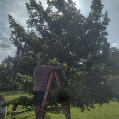 Peachtree City Liberty Tree Decorating